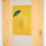 베르크제