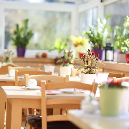 Гостевой дом Bergsee Бад-Висзе