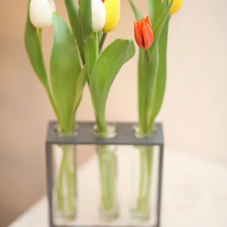 Affittacamere Bergsee 3*